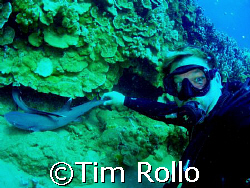Diver and buddy.  I've watched these two white tip sharks... by Tim Rollo 